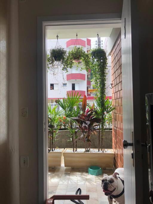 Apartamento A 230 Mts Da Praia Em Ubatuba Exterior foto